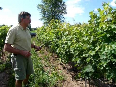 Derek Wilber on canopy management