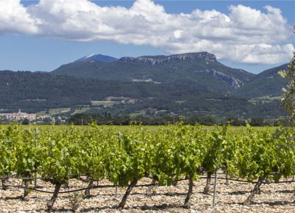 Domaine Passion des Dames