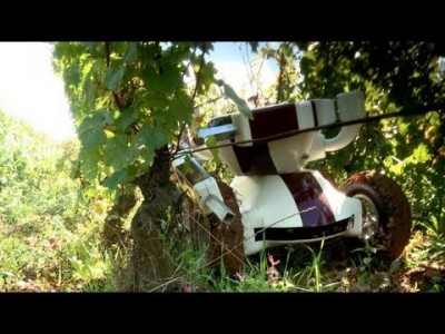 Wall-Ye wine robot takes bow in Burgundy