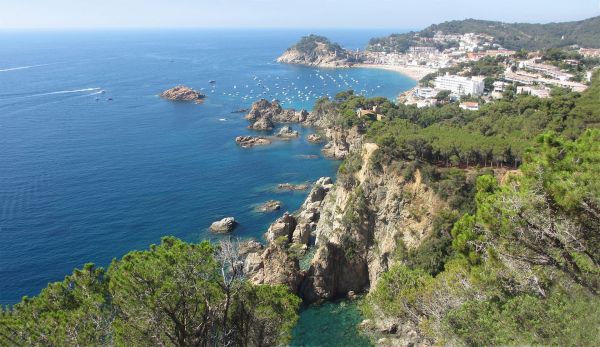 The Med