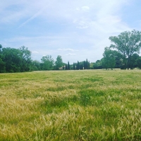 Silence #provence #wine #traubenliebe #spring