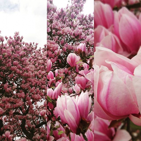 The ros&eacute; of mother nature. Traubenliebe.com