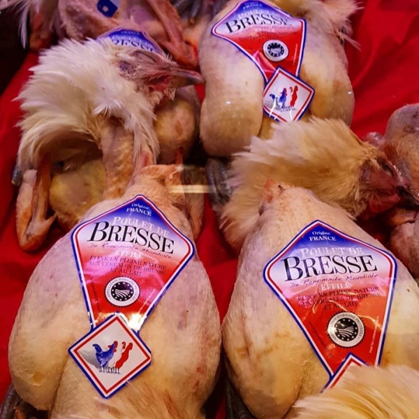#delicious #pouletdebresse #deli