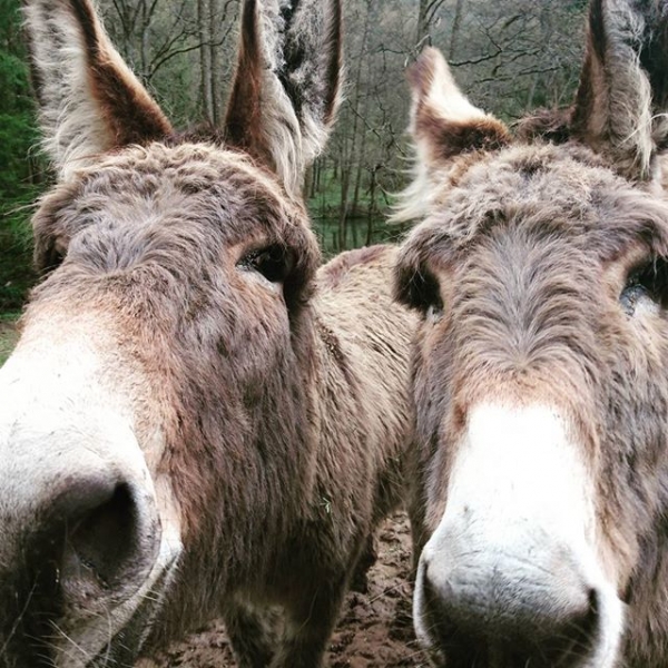 Making friends. Life is pretty cool #traubenliebe