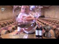 Ch&acirc;teau Moulin de la Rose 2012 
