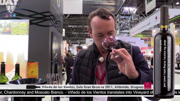 Vi&ntilde;edo de Los Vientos Eolo Gran
